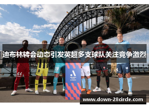 迪布林转会动态引发英超多支球队关注竞争激烈