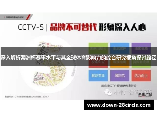 深入解析澳洲杯赛事水平与其全球体育影响力的综合研究视角探讨路径