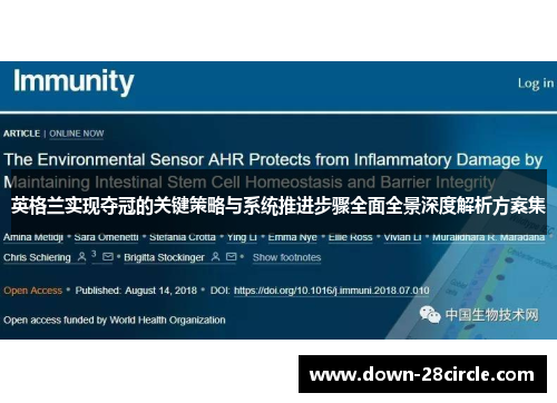 英格兰实现夺冠的关键策略与系统推进步骤全面全景深度解析方案集 英格兰实现夺冠的关键策略与系统推进步骤全面全景深度解析方案集