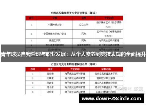 青年球员自我管理与职业发展：从个人素养到竞技表现的全面提升