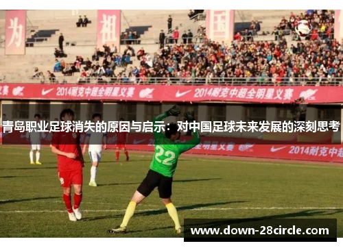 青岛职业足球消失的原因与启示：对中国足球未来发展的深刻思考